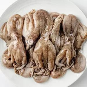 당일조업 서해 자연산 활 쭈꾸미 1kg