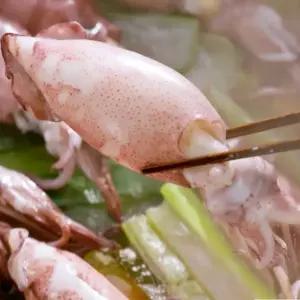 통째 먹는 총알한치 100미 내외1.2kg 한입한치 원양산 미니 오징어