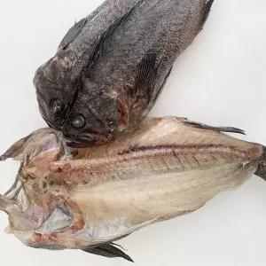 자연산 국내산 반건조 우럭 손질 말린 건조 제수용 생선 볼락 구이 뽈락