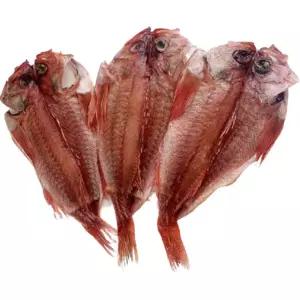 반건조 장문 볼락 3미 생선 뽈락 손질 마른 말린 제수용 열기 적어