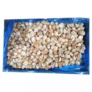 자숙 참 가리비살10kg1박스 