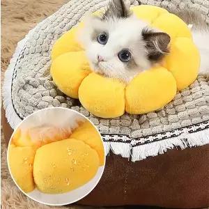 넥카라 목보호대 넥플라워 쿠션 반려동물