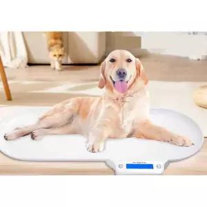 측정 체중계 전자 반려동물 대형견체중계 몸무게 대형