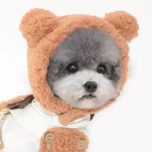 강아지 뽀글이 곰돌이 모자 1P 겨울 보온 산책 군밤