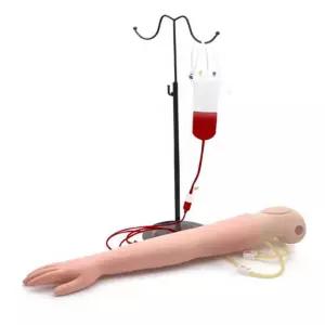 정맥주사 실습모형 실리콘 IV 피부 채혈 주사실습