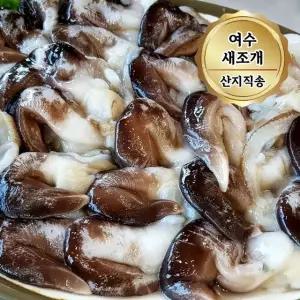 당일조업 여수 손질 새조개 특품 500g 빙장포장