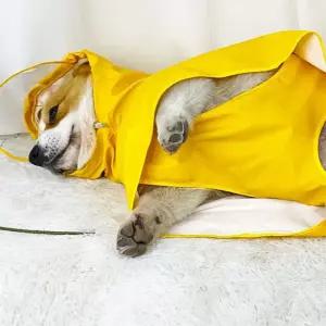 강아지 우비반려견비옷 산책비 우산 의류 여름 펫우비 펫비 애옷 올인원 후드 애완견