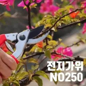 SK5날재질 210MM 전정가위 NO250꽃 소나무용 나무 분재용 정원 다듬기