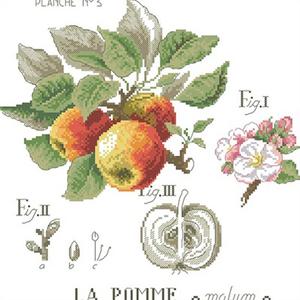 미니사과 실 십자수 패키지 (도안+원단+실+바늘)