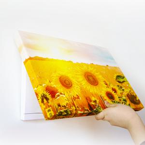 배전함 두꺼비집 가리개 풍수 북유럽 그림액자 방꾸미기 집들이선물 개업선물