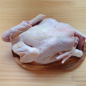 토종닭 중닭 암닭 1.5kg내외 닭백숙용 약재티백 무료제공