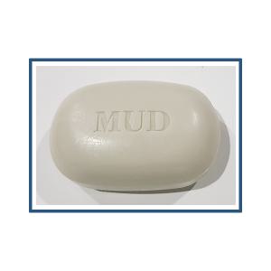 (한셀)보령머드 알비누 업소용 100g 10개