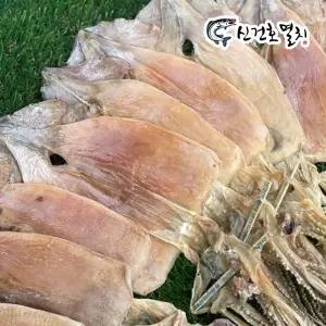 동해안 햇 건오징어 500g 600g 750g / 건조 반건조 마른 안주 부드러운 오징어 볶음 조림 반찬 건어물