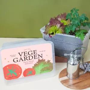 베지가든 텃밭세트-방울토마토+상추/채소키우기