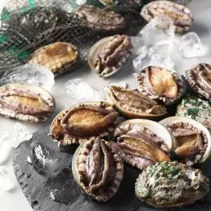 [NS홈쇼핑]완도전복주식회사 완도활전복 대 10~11미 1kg(마리당90g내외)..[34685756]