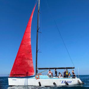 [양양] 가비마린 요트투어