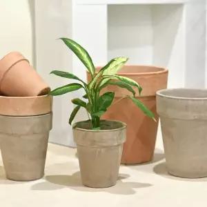 마이플랜트 EV 이브 바소 알토팟 31호 받침 세트 이태리 토분 빈티지 인테리어 화분