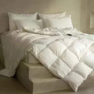 프리마로프트 BIO 이불솜 very warm