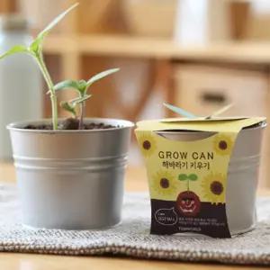 식물인테리어 선반 창가 장식 해바라기 메탈화분 세트/키우기/재배기/꽃/가정/가정용/과학/과학용/관찰