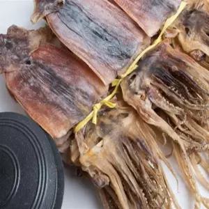 [오땅] 울릉도 속초 동해안 쫄쫄이 마른 배오징어 10마리 (국산 / 중량 옵션 선택)