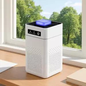 [셀러허브]블루에어 소형 공기청정기 원룸 헤파필터 미세먼지 (S45901605)