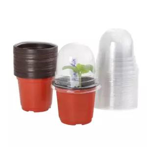 플라스틱 컵화분 투명커버세트 발아 10개 관수재배 소품 정원 꾸미기 식물 인테리어