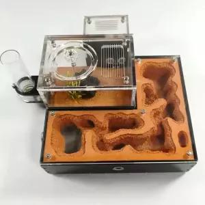 개미 키우기 곤충 여왕개미 관찰 사육장 하우스 키트