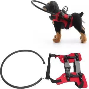 맹견용 링 하네스 쉽게 고정할 수 있는 견고한 조절식 맹견 범퍼 가드 안내 장치 충돌 방지 M