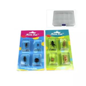 초중등 생물자료 곤충 벌레 표본 8종세트 초등과학 재료 모형 관찰용