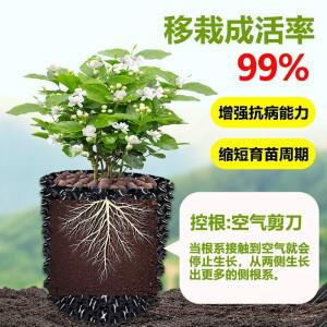 정리 식물 뿌리 제어 보육 냄비 트레이너 빠른 성장 컨테이너 정원 나무 분재 이식 도구 Nersery Pot