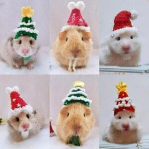 햄스터 도마뱀 크리스마스 반려묘 고양이 모자 인형모자 산타