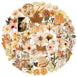 10/30/50pcs 투명 말린 꽃 잎 표본 스티커 미적 장식 편지지 일기 전화 케이스 레트로 팩