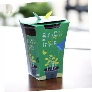 실내 베란다 주방 새싹 채소 재배 관찰 키트 씨앗 물 영양 성장 일지 작성 교육