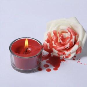 저온초 마사지캔들 캔들답례품 캔들