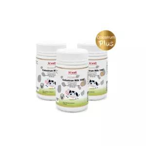 하이웰 초유 어린이 영양제 츄어블 선물 120정 X3 BNA