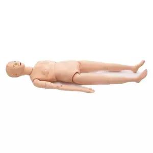 실습용 마네킹 인체 교육 전신 더미 모형 교구 모델