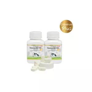 하이웰 초유 츄어블 미니 어린이 성인 영양제 30정 X2 BNA