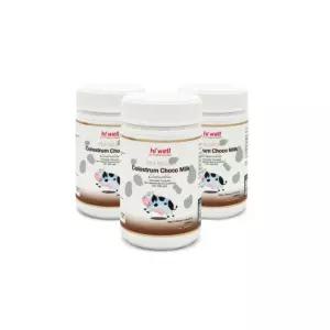 하이웰 초유 츄어블 어린이 성인 초코맛 150정 X3 BNA