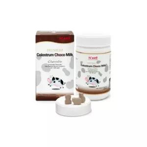 하이웰 초유 초코 츄어블 돌 아기 어린이 선물 150정 BNA