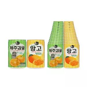 참맑은 망고+제주감귤 혼합 (각)총 망고맛 제주감귤음료 캔음료 혼합세트 학교간식 선생님