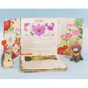 4인 가을꽃북아트 학생 코스모스 국화 꽃학습 활동지 자극놀이 손힘기르기 재료