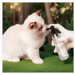 고양이 치석 제거제 간식 플라그 오프 치약 양치 덴탈 입냄새 전용 구취 거품