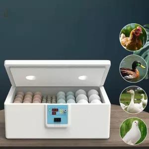 계란부화기 인큐베이터 알 스마트 닭 자동 조류 오리 소형 미니 가정용