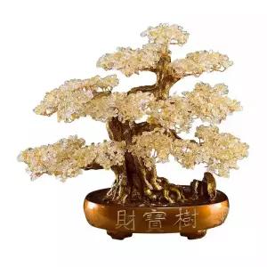 집들이 금색 개업화분배달 수정 장 화분 돈나무