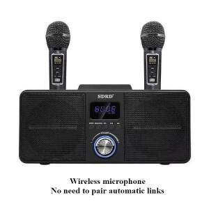 듀얼 마이크 홈 가라오케 전용 스피커, 3D 서라운드 서브우퍼, 무선 노래 블루투스 SD309