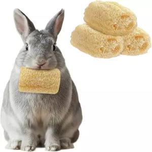 Hadves 3 PCS 토끼 씹기 장난감 첨가물 없는 천연 루프파 이빨 갈기 친칠라 기니 피그 작은 애니 수제 재료