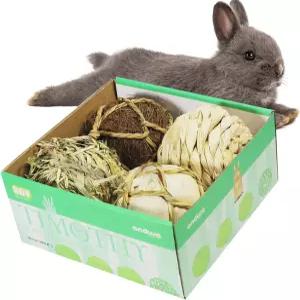 그리고 우리 작은 동물들은 토끼 기니피그 친칠라 버니 데구스를 위한 구르는 씹는 장난감과 갉아먹는