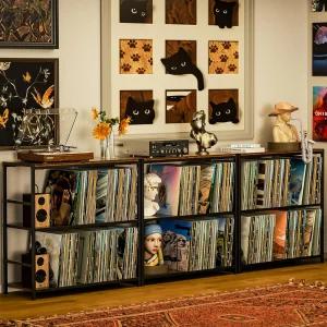 4개의 조절 가능한 칸막이가 있는 소니에카 레코드 플레이어 스탠드 최대 350개의 앨범을 보관할 수 비닐