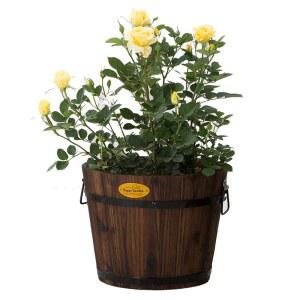 우드 바스켓 벚나무 4단 스팟 빈티지 원목 2x2 히노끼 잡지 사다리꼴 24CM