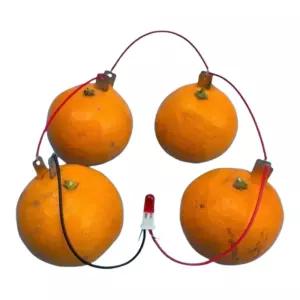 초등과학 구리판 전기발생 LED 과일전지 실험키트 2개 집게전선 누리과정 8세 수업용